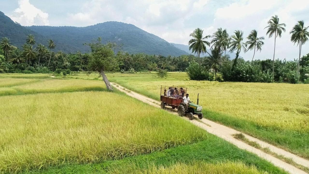 Coconut Escapes Kurunegala Exterior foto