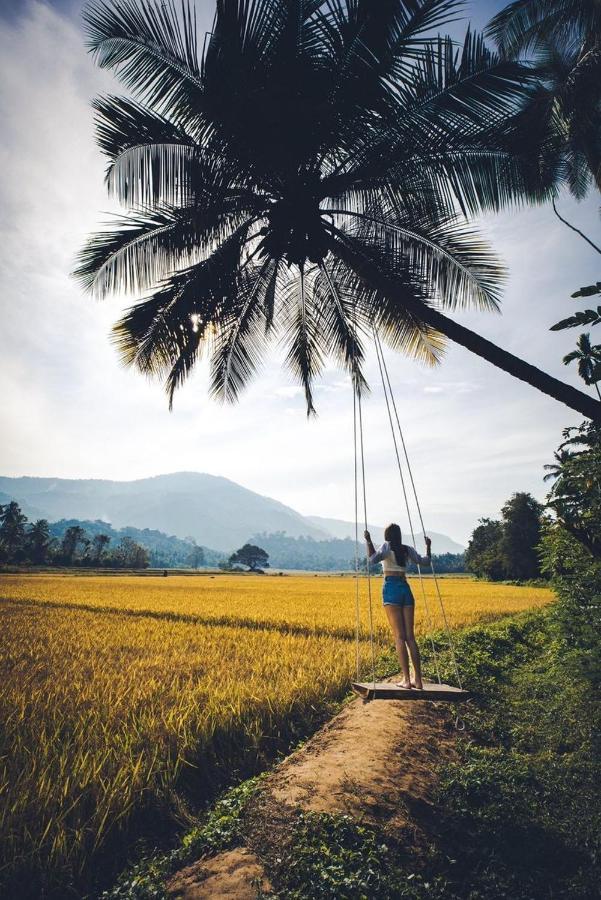 Coconut Escapes Kurunegala Exterior foto